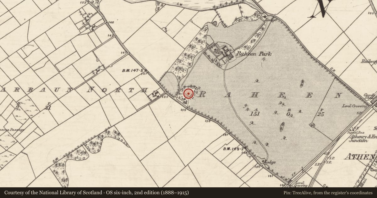Ordnance Survey six-inch map, 2nd edition (1888–1915) covering the location of Enclosure - large enclosure, Raheen, County Galway, with a pin at the register's coordinates