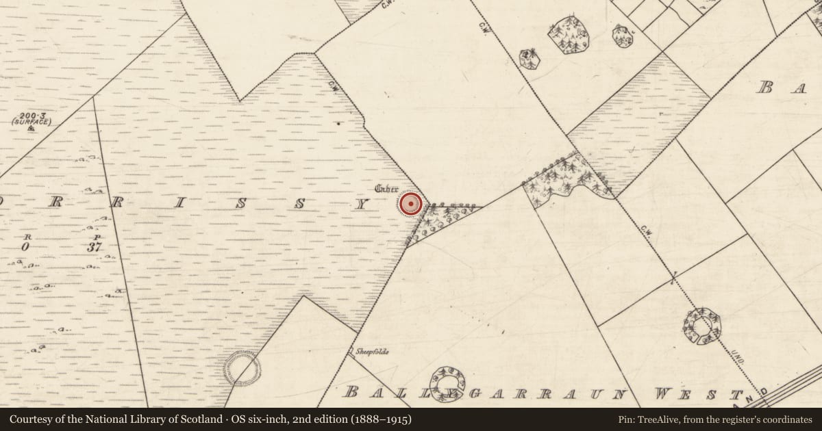 Ordnance Survey six-inch map, 2nd edition (1888–1915) covering the location of Ringfort - cashel, Ballygarraun West, Rathmorrissy, County Galway, with a pin at the register's coordinates