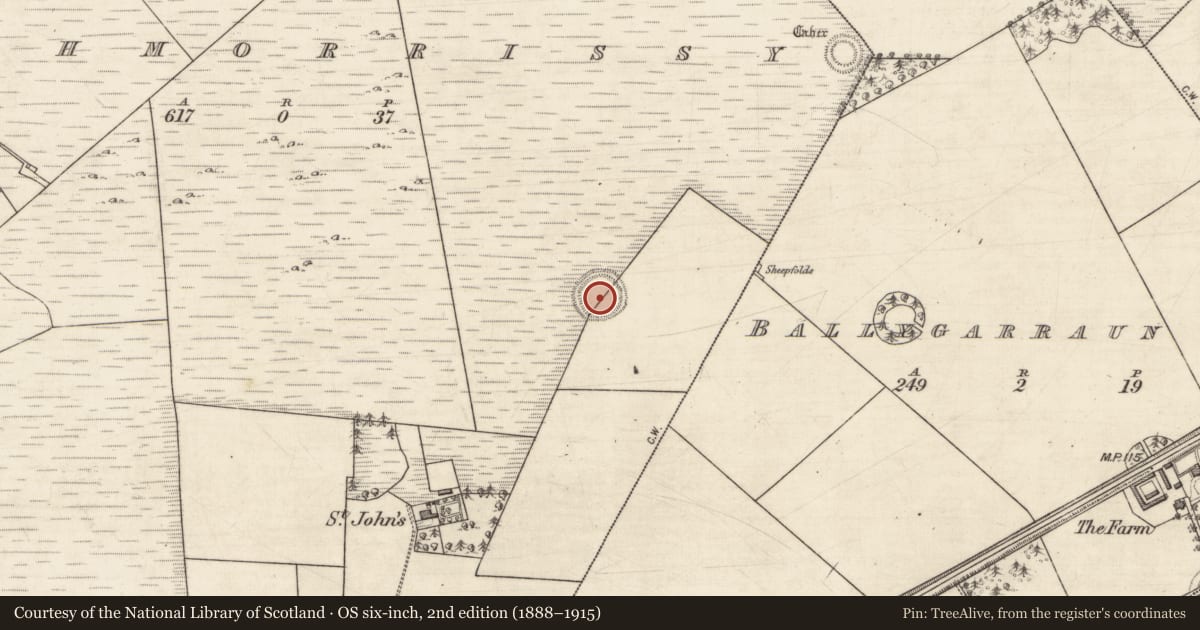 Ordnance Survey six-inch map, 2nd edition (1888–1915) covering the location of Ringfort - rath, Rathmorrissy, County Galway, with a pin at the register's coordinates