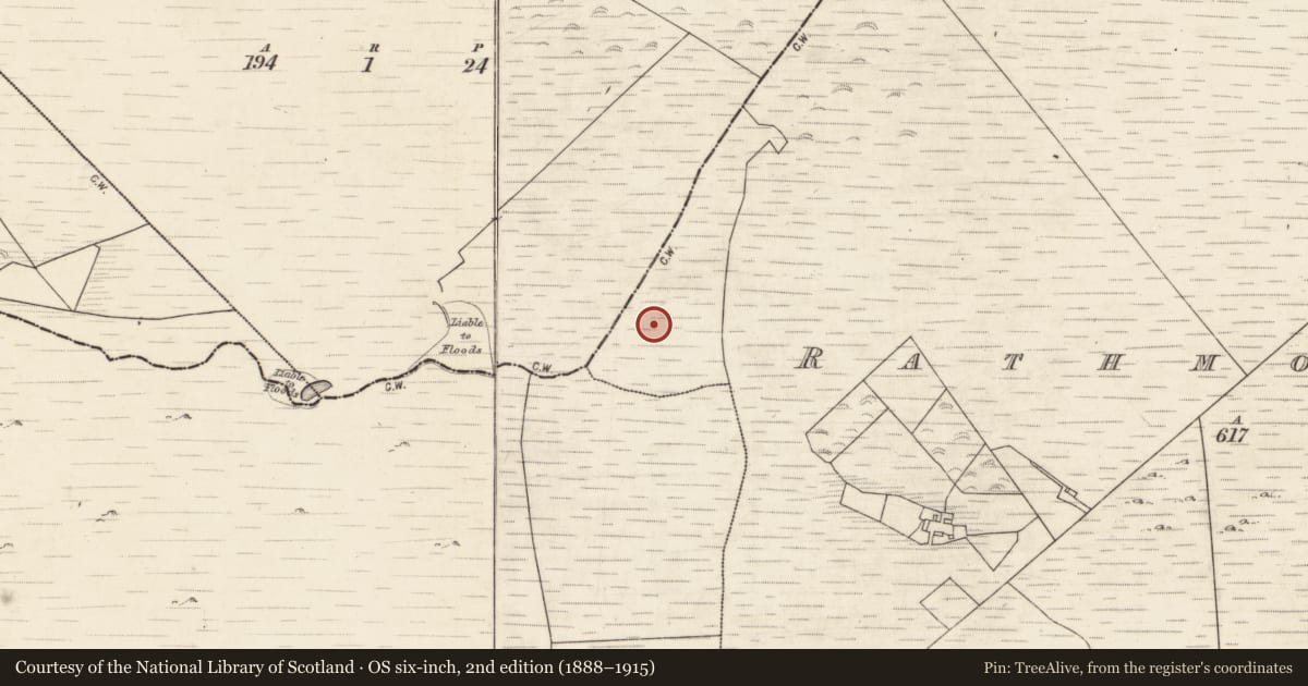 Ordnance Survey six-inch map, 2nd edition (1888–1915) covering the location of Fulacht fia, Rathmorrissy, County Galway, with a pin at the register's coordinates