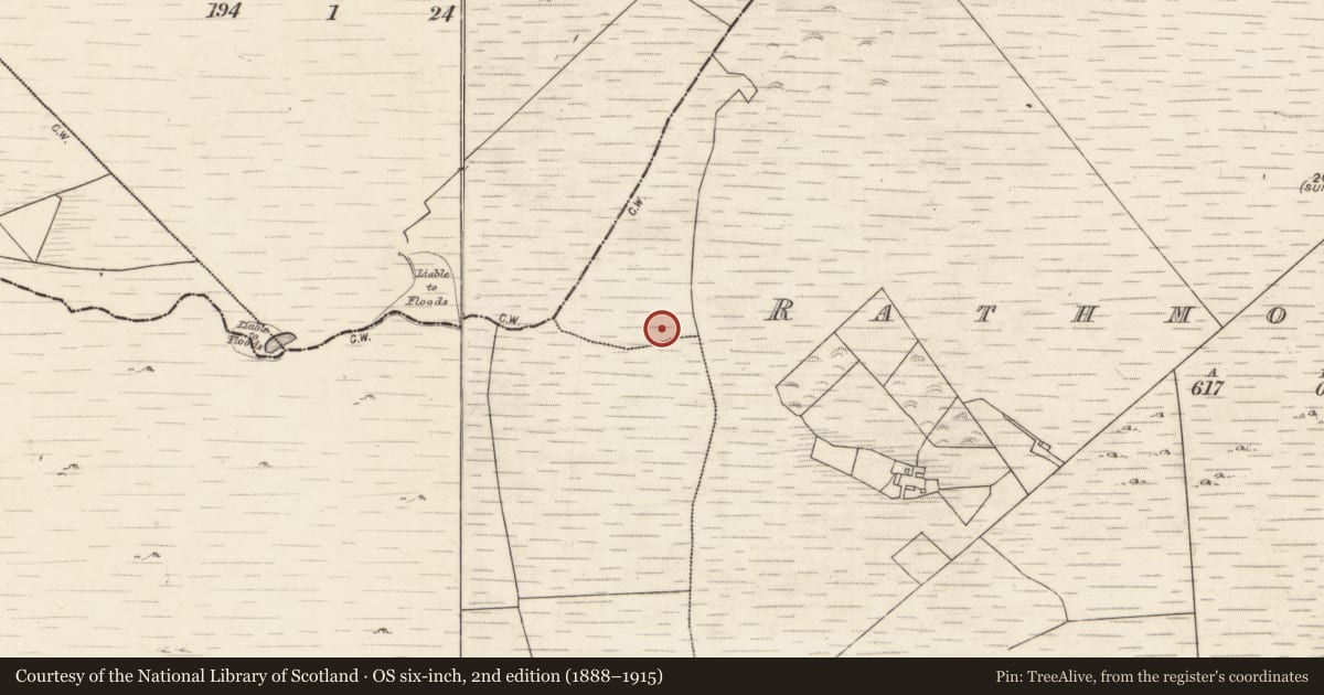 Ordnance Survey six-inch map, 2nd edition (1888–1915) covering the location of Fulacht fia, Rathmorrissy, County Galway, with a pin at the register's coordinates