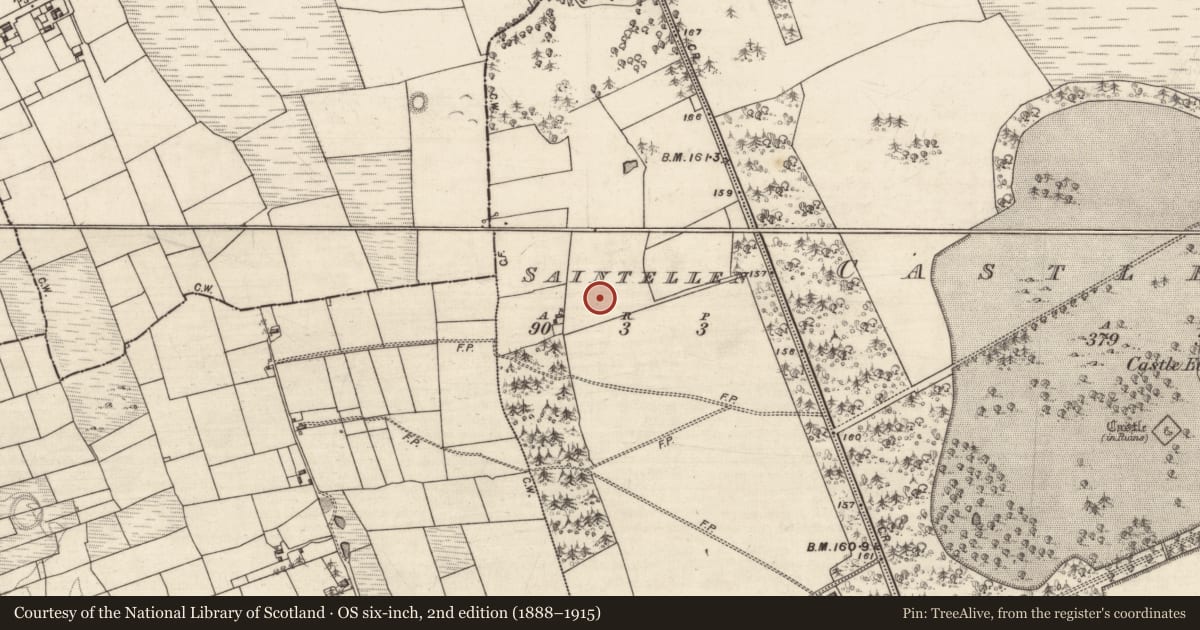 Ordnance Survey six-inch map, 2nd edition (1888–1915) covering the location of Quarry, Saintellen, County Galway, with a pin at the register's coordinates