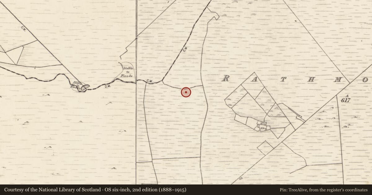 Ordnance Survey six-inch map, 2nd edition (1888–1915) covering the location of Fulacht fia, Toberroe, County Galway, with a pin at the register's coordinates