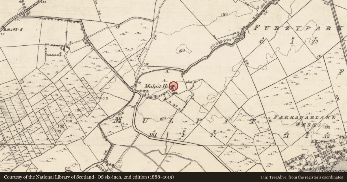 Ordnance Survey six-inch map, 2nd edition (1888–1915) covering the location of Country house, Mulpit, County Galway, with a pin at the register's coordinates