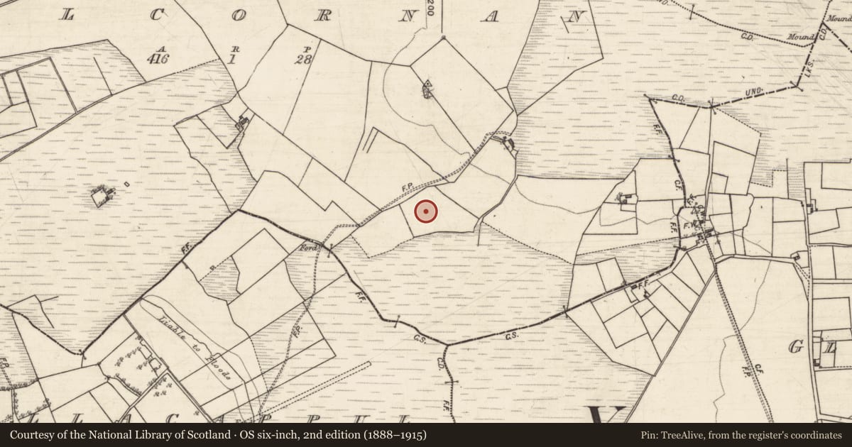 Ordnance Survey six-inch map, 2nd edition (1888–1915) covering the location of House - indeterminate date, Kilcornan, County Galway, with a pin at the register's coordinates
