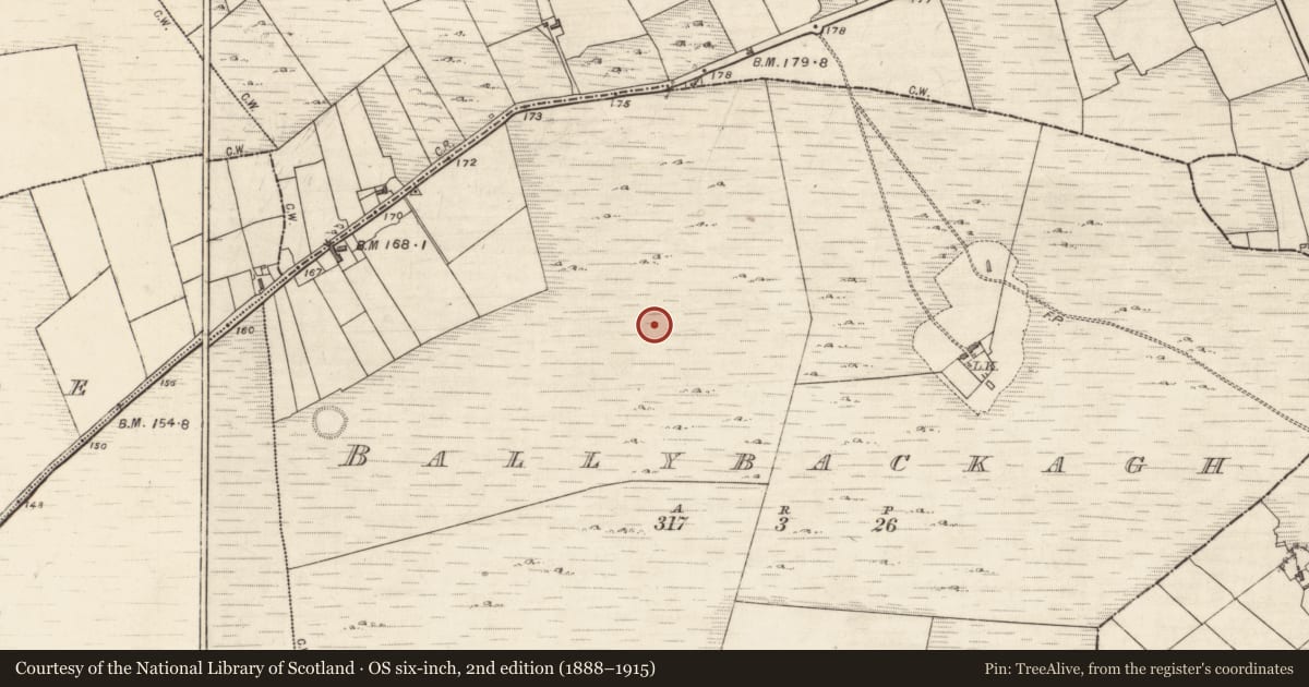 Ordnance Survey six-inch map, 2nd edition (1888–1915) covering the location of Barrow - ring-barrow, Ballybackagh, County Galway, with a pin at the register's coordinates