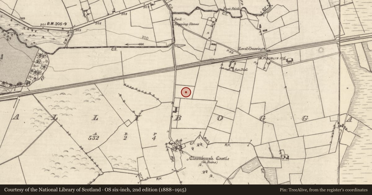 Ordnance Survey six-inch map, 2nd edition (1888–1915) covering the location of Children's burial ground, Ballyboggan, County Galway, with a pin at the register's coordinates