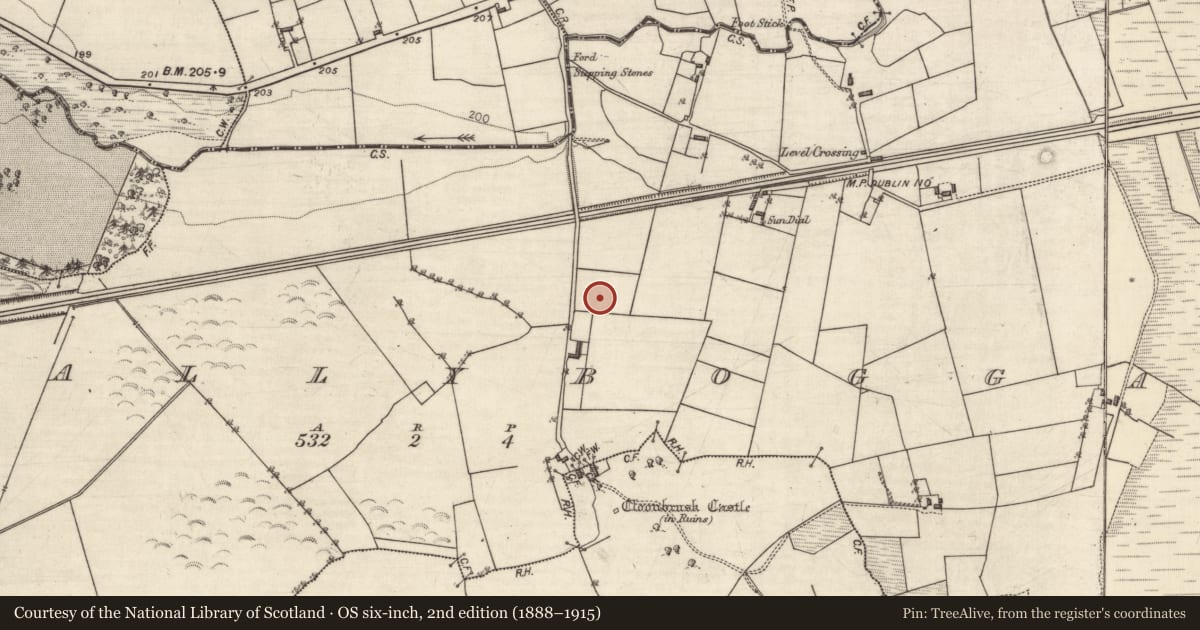 Ordnance Survey six-inch map, 2nd edition (1888–1915) covering the location of Souterrain, Ballyboggan, County Galway, with a pin at the register's coordinates
