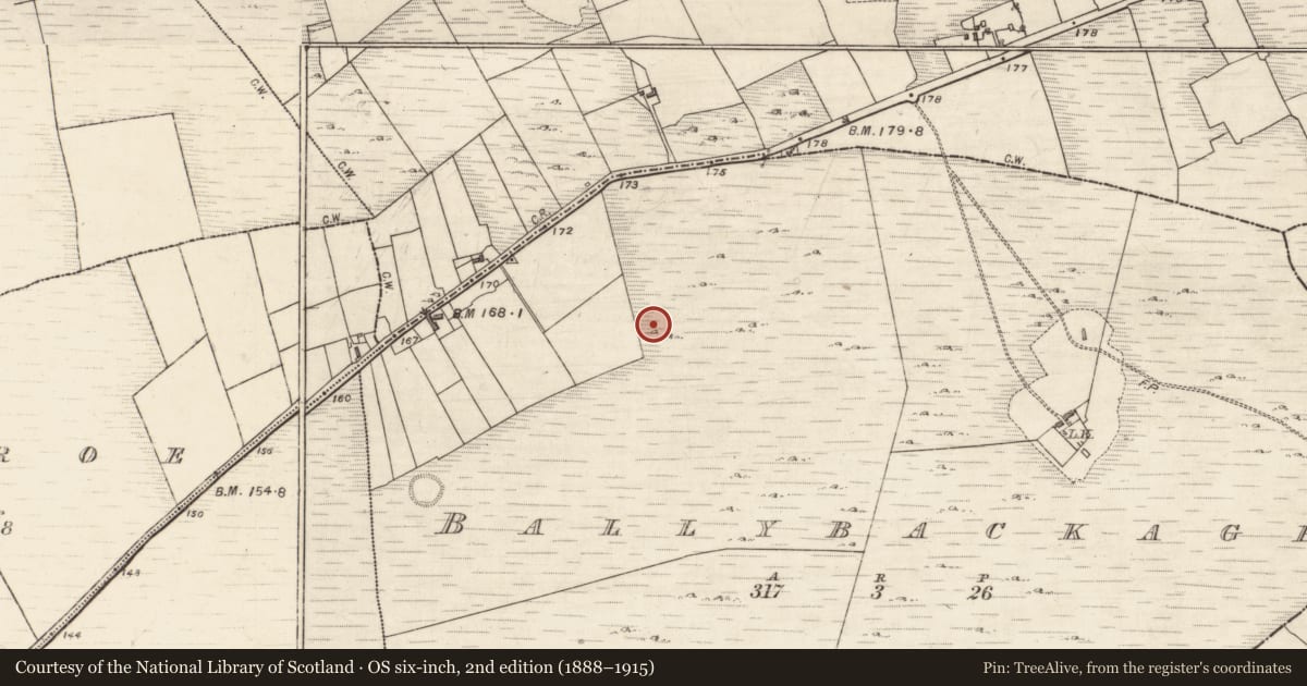 Ordnance Survey six-inch map, 2nd edition (1888–1915) covering the location of Boulder-burial, Ballybackagh, County Galway, with a pin at the register's coordinates