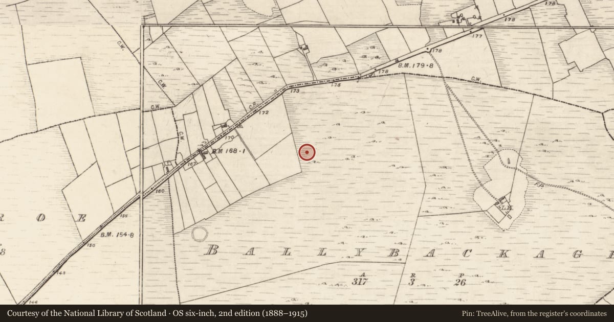 Ordnance Survey six-inch map, 2nd edition (1888–1915) covering the location of Boulder-burial, Ballybackagh, County Galway, with a pin at the register's coordinates