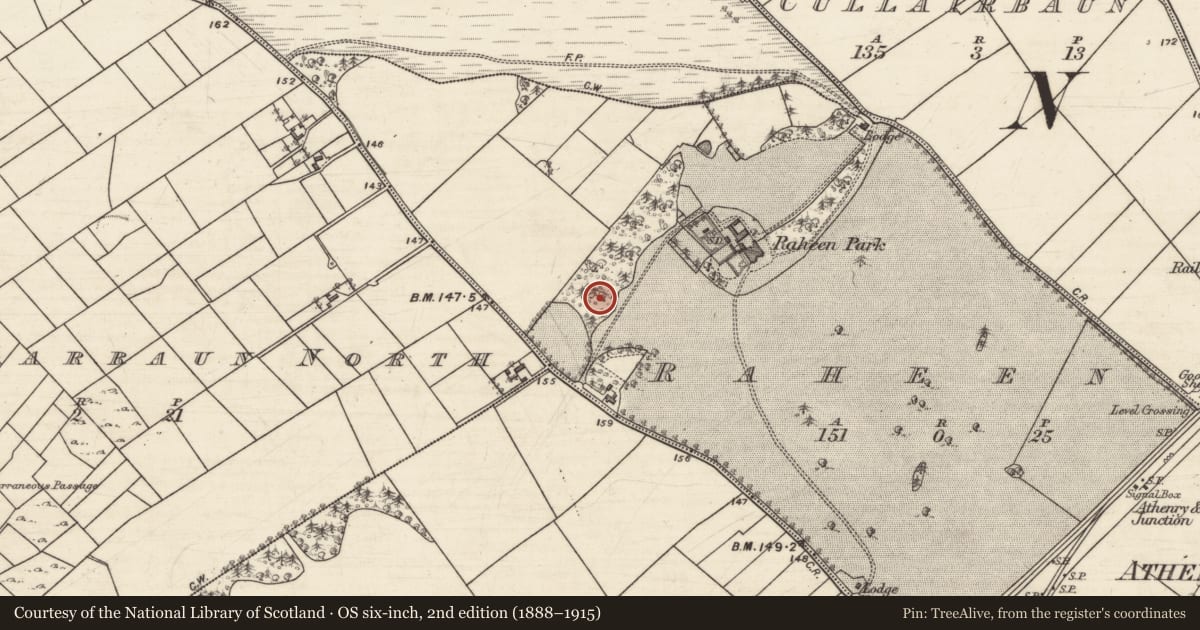 Ordnance Survey six-inch map, 2nd edition (1888–1915) covering the location of Cross-slab (present location), Raheen, County Galway, with a pin at the register's coordinates