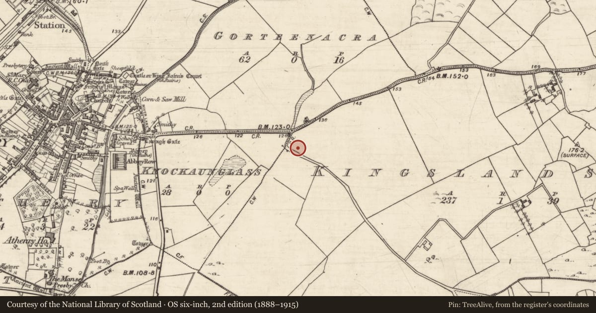 Ordnance Survey six-inch map, 2nd edition (1888–1915) covering the location of Well, Kingsland South, County Galway, with a pin at the register's coordinates