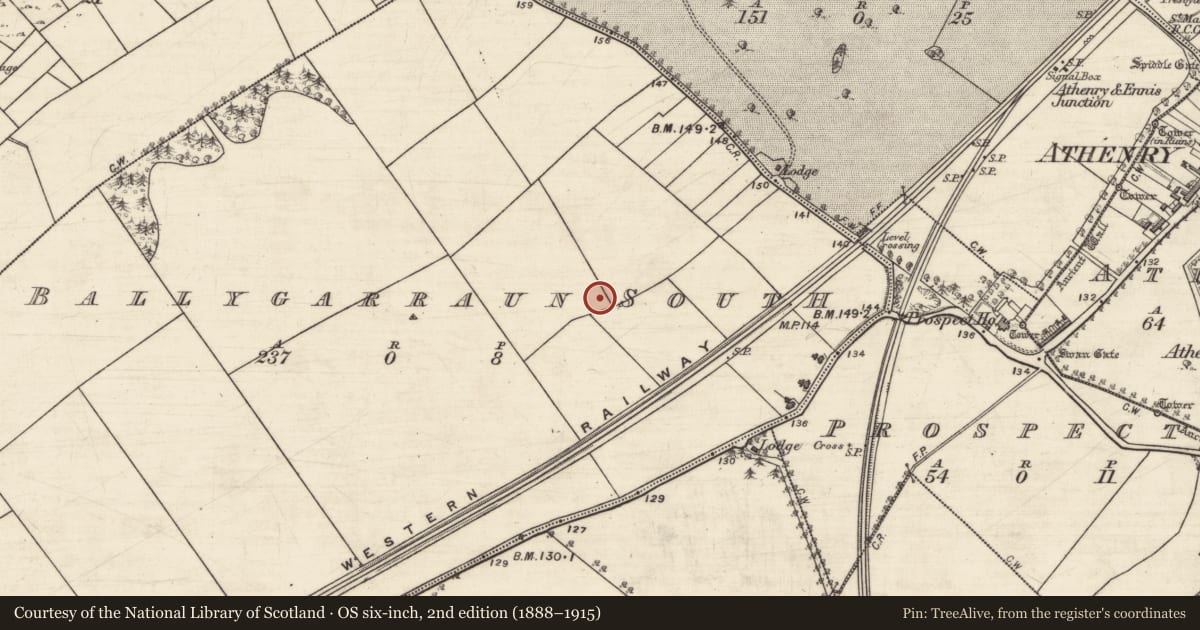 Ordnance Survey six-inch map, 2nd edition (1888–1915) covering the location of Excavation - miscellaneous, Ballygarraun South, County Galway, with a pin at the register's coordinates