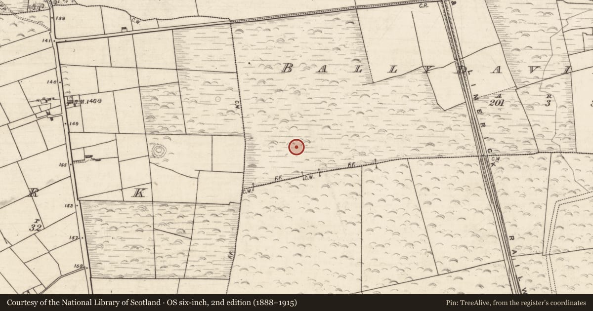 Ordnance Survey six-inch map, 2nd edition (1888–1915) covering the location of Barrow - ring-barrow, Ballydavid Middle, County Galway, with a pin at the register's coordinates
