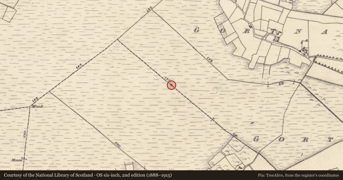 Ordnance Survey six-inch map, 2nd edition (1888–1915) covering the location of Boundary mound, Attimonbeg, Gortnalone South, County Galway, with a pin at the register's coordinates
