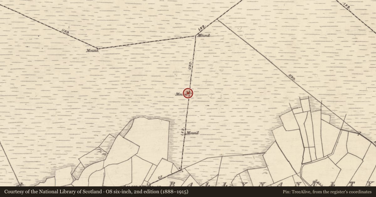 Ordnance Survey six-inch map, 2nd edition (1888–1915) covering the location of Boundary mound, Ballynanulty, Cloonkeenmore North, County Galway, with a pin at the register's coordinates