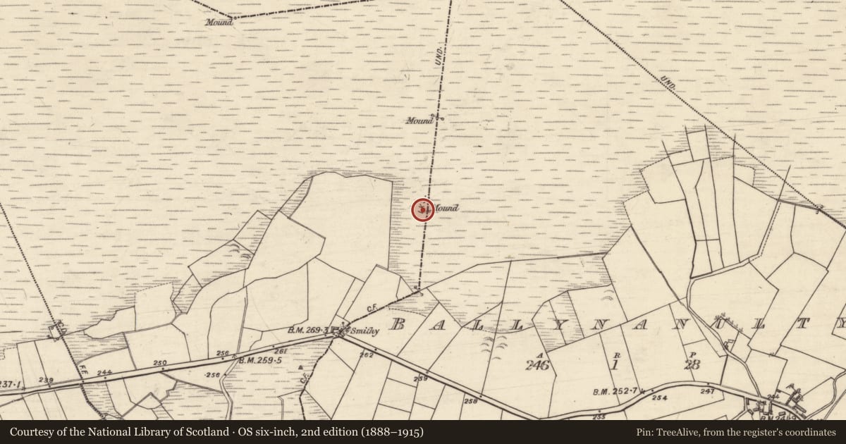 Ordnance Survey six-inch map, 2nd edition (1888–1915) covering the location of Boundary mound, Ballynanulty, Cloonkeenmore North, County Galway, with a pin at the register's coordinates