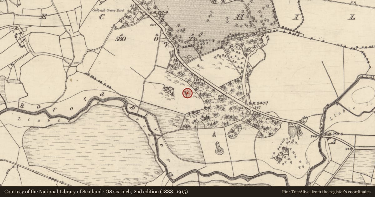 Ordnance Survey six-inch map, 2nd edition (1888–1915) covering the location of Quarry, Beech Hill, County Galway, with a pin at the register's coordinates