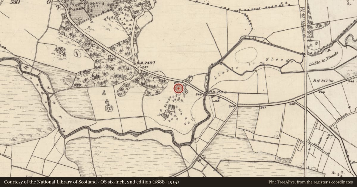 Ordnance Survey six-inch map, 2nd edition (1888–1915) covering the location of Quarry, Beech Hill, County Galway, with a pin at the register's coordinates