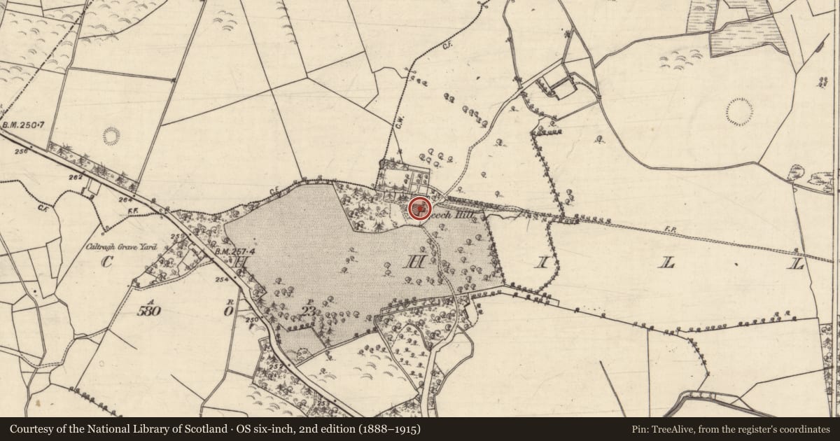 Ordnance Survey six-inch map, 2nd edition (1888–1915) covering the location of House - 18th/19th century, Beech Hill, County Galway, with a pin at the register's coordinates