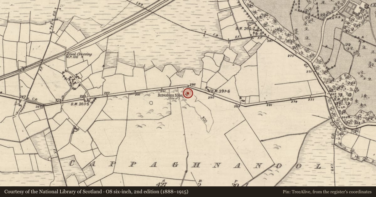 Ordnance Survey six-inch map, 2nd edition (1888–1915) covering the location of Religious house - unclassified, Cappaghnanool, County Galway, with a pin at the register's coordinates