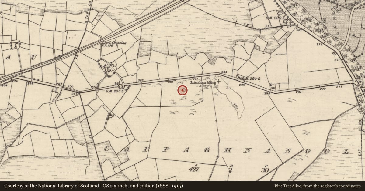 Ordnance Survey six-inch map, 2nd edition (1888–1915) covering the location of Quarry, Cappaghnanool, County Galway, with a pin at the register's coordinates
