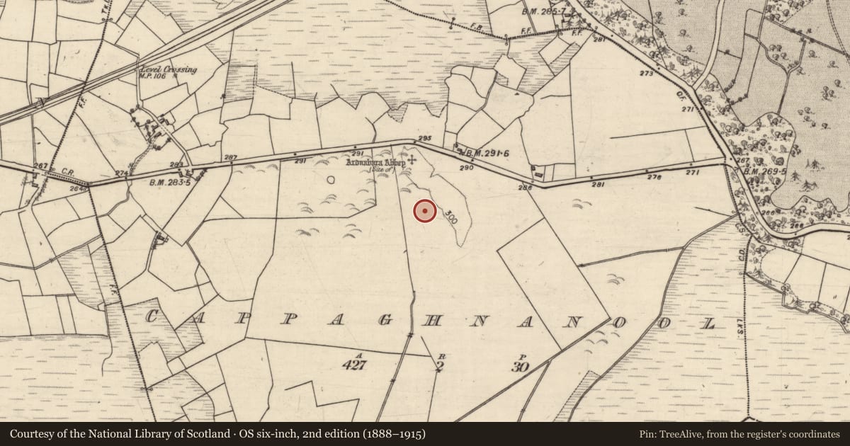 Ordnance Survey six-inch map, 2nd edition (1888–1915) covering the location of Quarry, Cappaghnanool, County Galway, with a pin at the register's coordinates