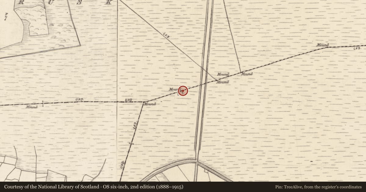 Ordnance Survey six-inch map, 2nd edition (1888–1915) covering the location of Boundary mound, Carnakelly North, Cloonbrusk, County Galway, with a pin at the register's coordinates