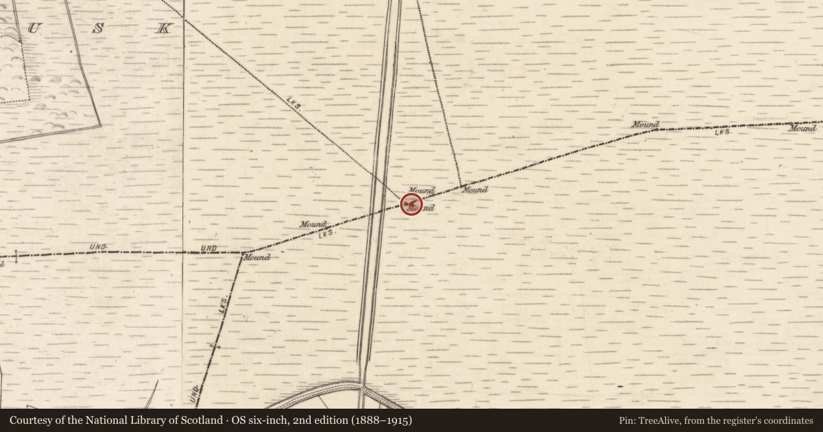 Ordnance Survey six-inch map, 2nd edition (1888–1915) covering the location of Boundary mound, County Galway, with a pin at the register's coordinates