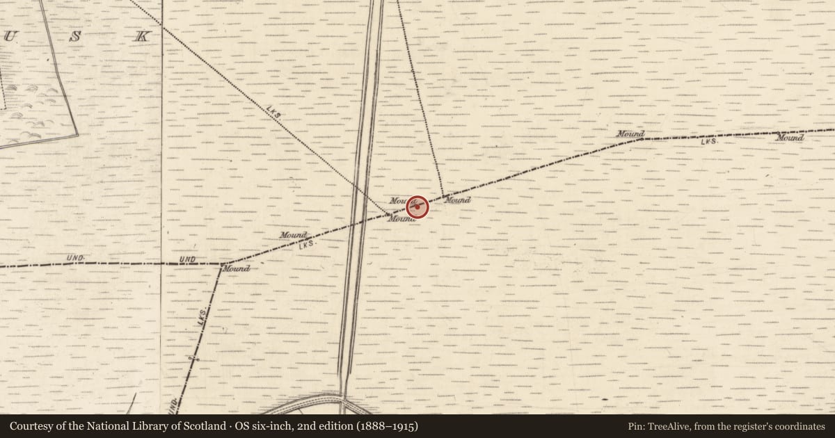 Ordnance Survey six-inch map, 2nd edition (1888–1915) covering the location of Boundary mound, Ballyboggan, Cloonkeenmore South, County Galway, with a pin at the register's coordinates