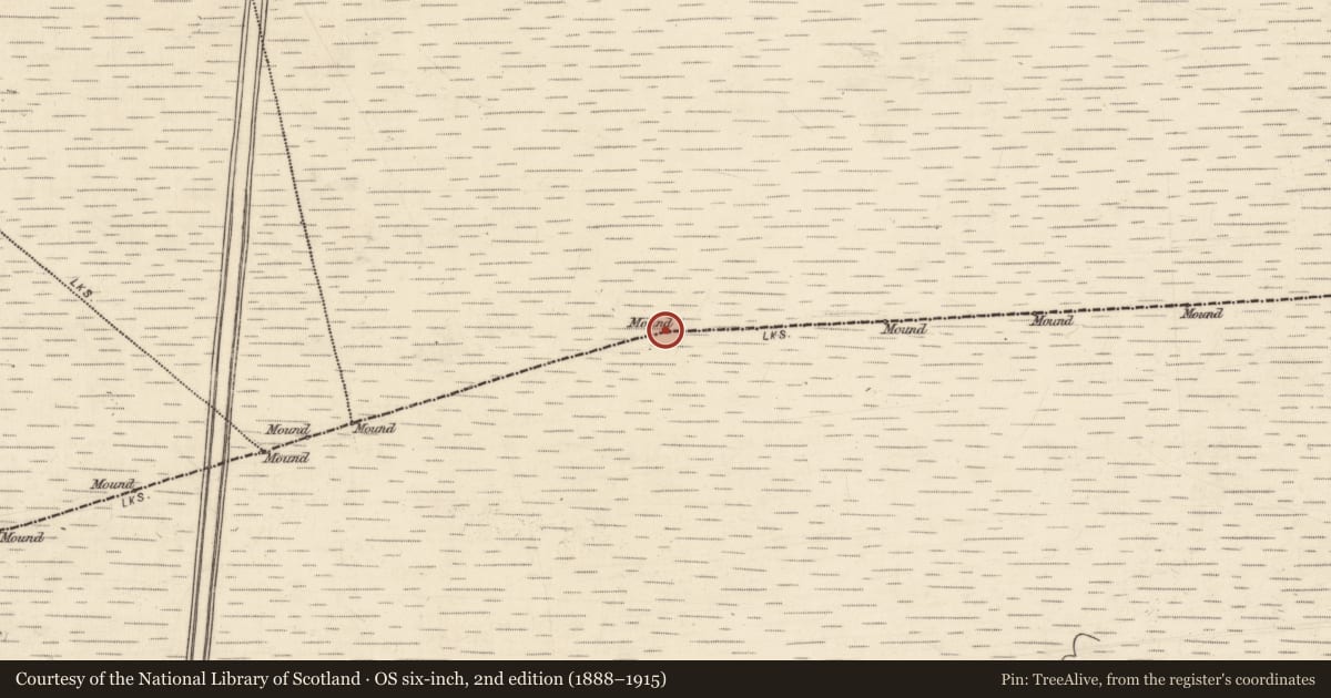 Ordnance Survey six-inch map, 2nd edition (1888–1915) covering the location of Boundary mound, Carnakelly North, Cloonkeenmore South, County Galway, with a pin at the register's coordinates