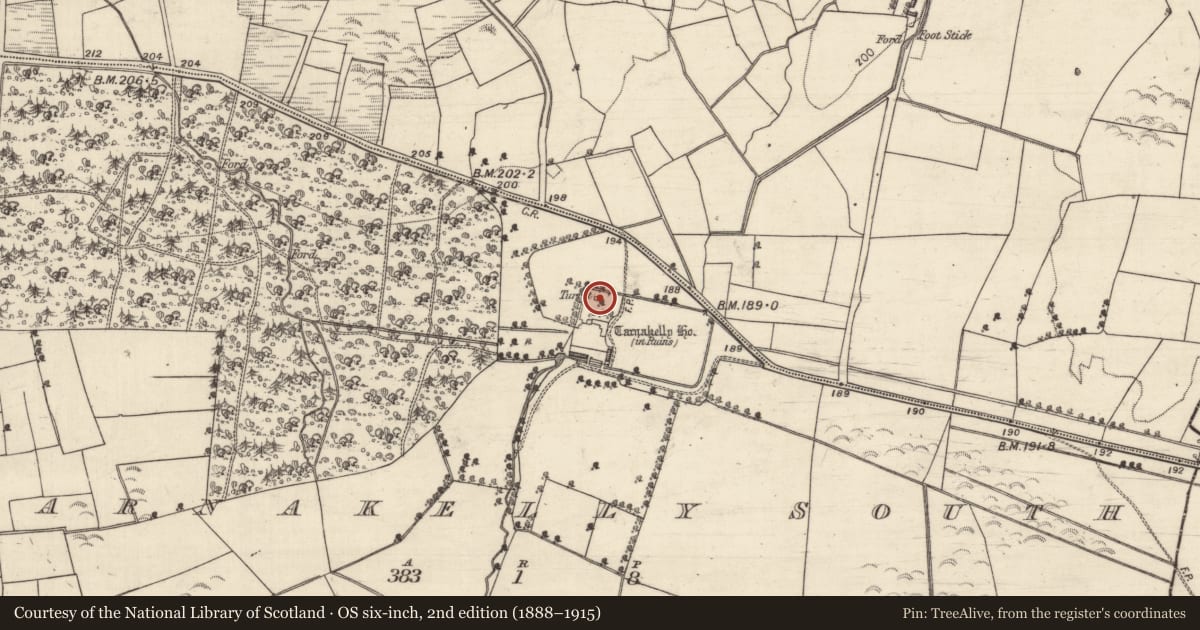 Ordnance Survey six-inch map, 2nd edition (1888–1915) covering the location of Designed landscape - folly, Carnakelly South, County Galway, with a pin at the register's coordinates