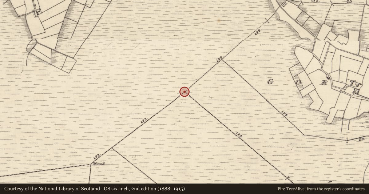 Ordnance Survey six-inch map, 2nd edition (1888–1915) covering the location of Boundary mound, County Galway, with a pin at the register's coordinates
