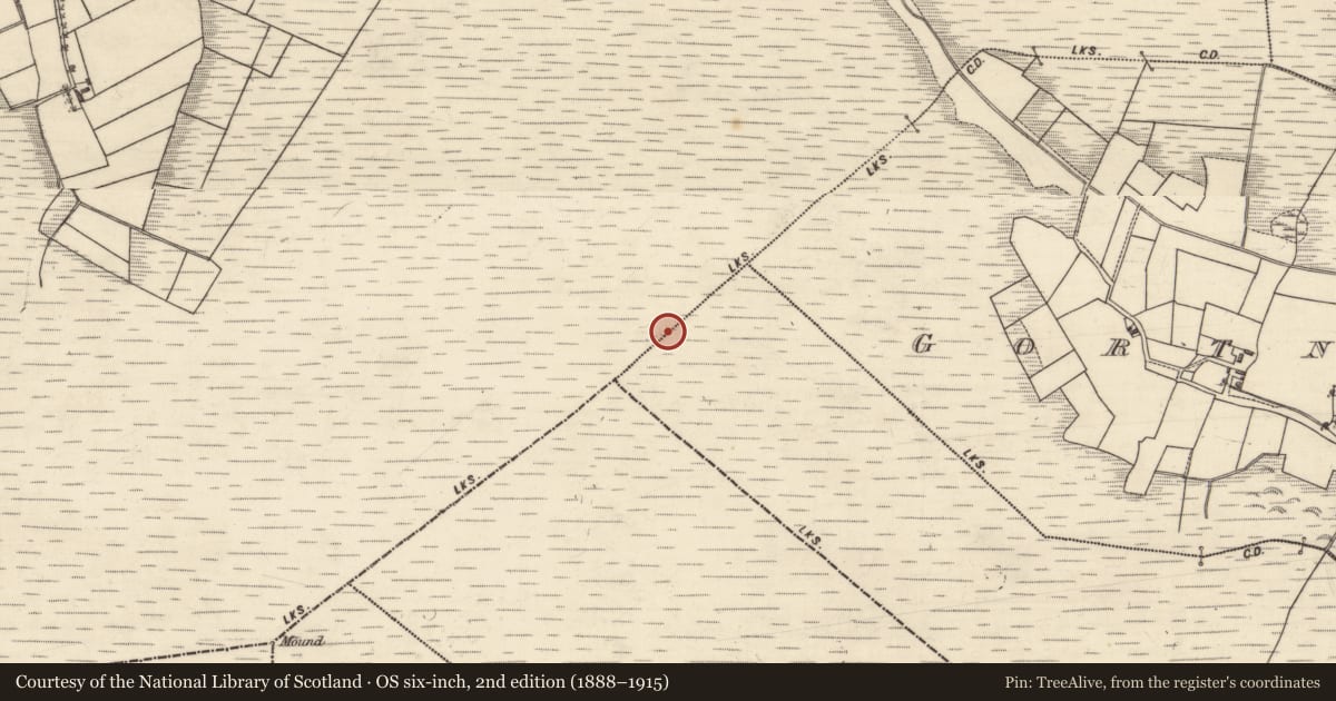Ordnance Survey six-inch map, 2nd edition (1888–1915) covering the location of Boundary mound, Clogh, Gortnalone South, County Galway, with a pin at the register's coordinates