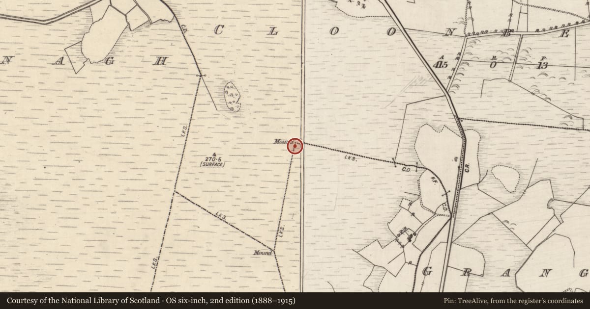 Ordnance Survey six-inch map, 2nd edition (1888–1915) covering the location of Boundary mound, Cloonbenes, Crossmacrin, County Galway, with a pin at the register's coordinates
