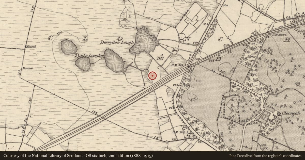 Ordnance Survey six-inch map, 2nd edition (1888–1915) covering the location of Designed landscape feature, Clooncah, County Galway, with a pin at the register's coordinates