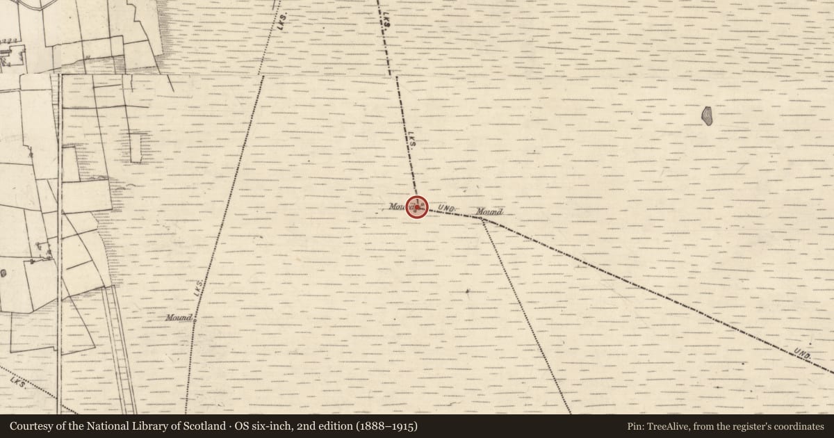 Ordnance Survey six-inch map, 2nd edition (1888–1915) covering the location of Boundary mound, Clogh, Cloonkeenbeg, County Galway, with a pin at the register's coordinates
