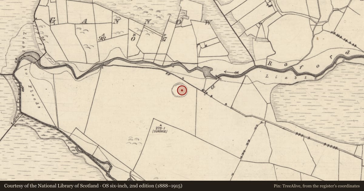 Ordnance Survey six-inch map, 2nd edition (1888–1915) covering the location of Ringfort - rath, Derrynamanagh, County Galway, with a pin at the register's coordinates