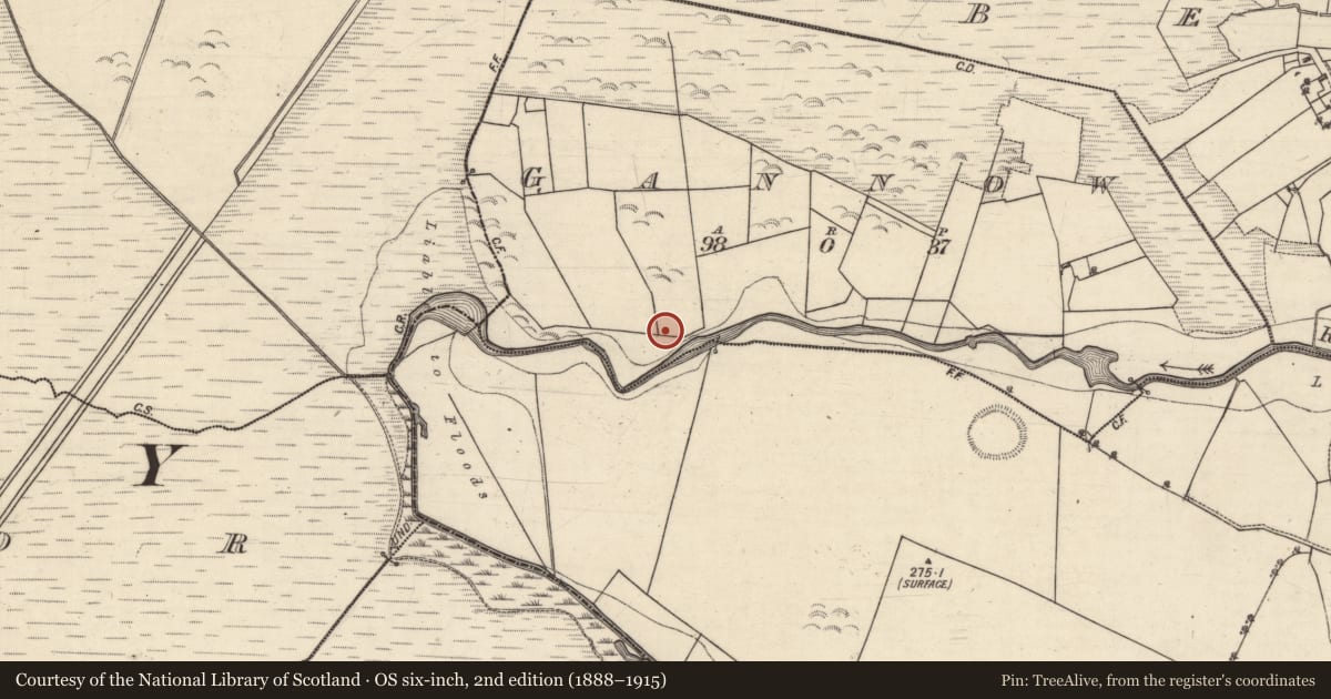 Ordnance Survey six-inch map, 2nd edition (1888–1915) covering the location of Ringfort - unclassified, Gannow, County Galway, with a pin at the register's coordinates