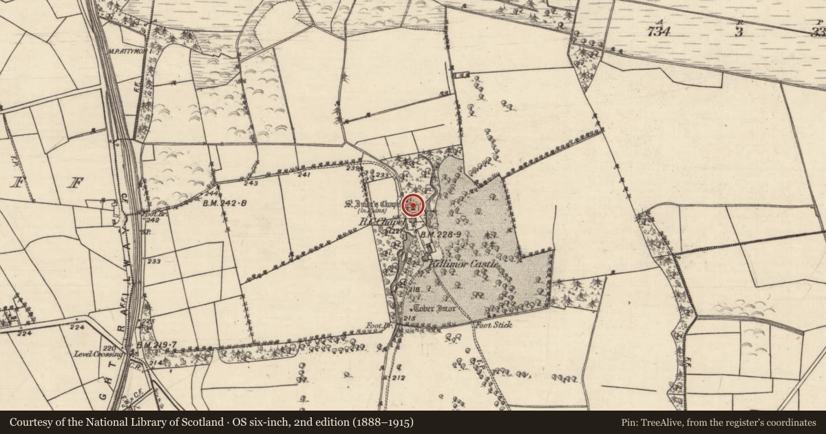 Ordnance Survey six-inch map, 2nd edition (1888–1915) covering the location of Architectural feature, Killimor, County Galway, with a pin at the register's coordinates