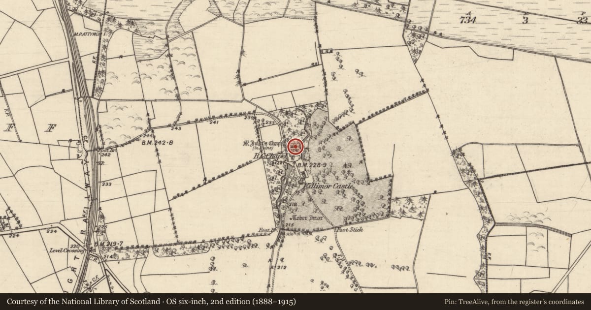 Ordnance Survey six-inch map, 2nd edition (1888–1915) covering the location of Architectural feature, Killimor, County Galway, with a pin at the register's coordinates