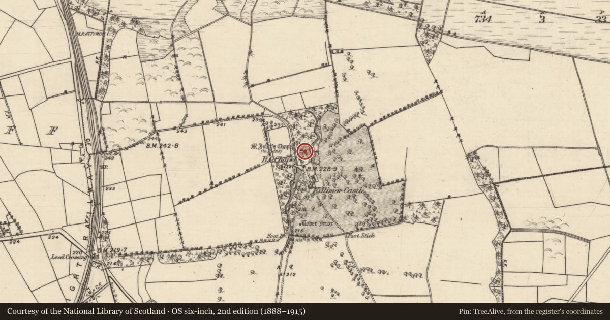 Ordnance Survey six-inch map, 2nd edition (1888–1915) covering the location of Bullaun stone, Killimor, County Galway, with a pin at the register's coordinates