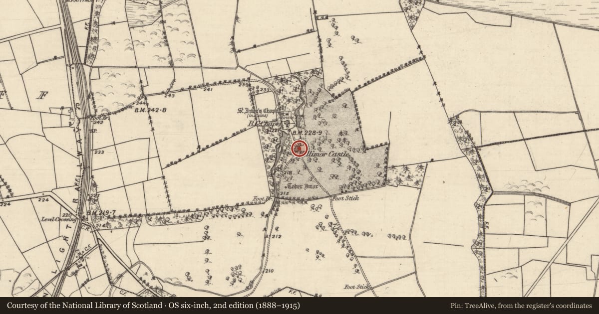 Ordnance Survey six-inch map, 2nd edition (1888–1915) covering the location of Castle - tower house, Killimor, County Galway, with a pin at the register's coordinates