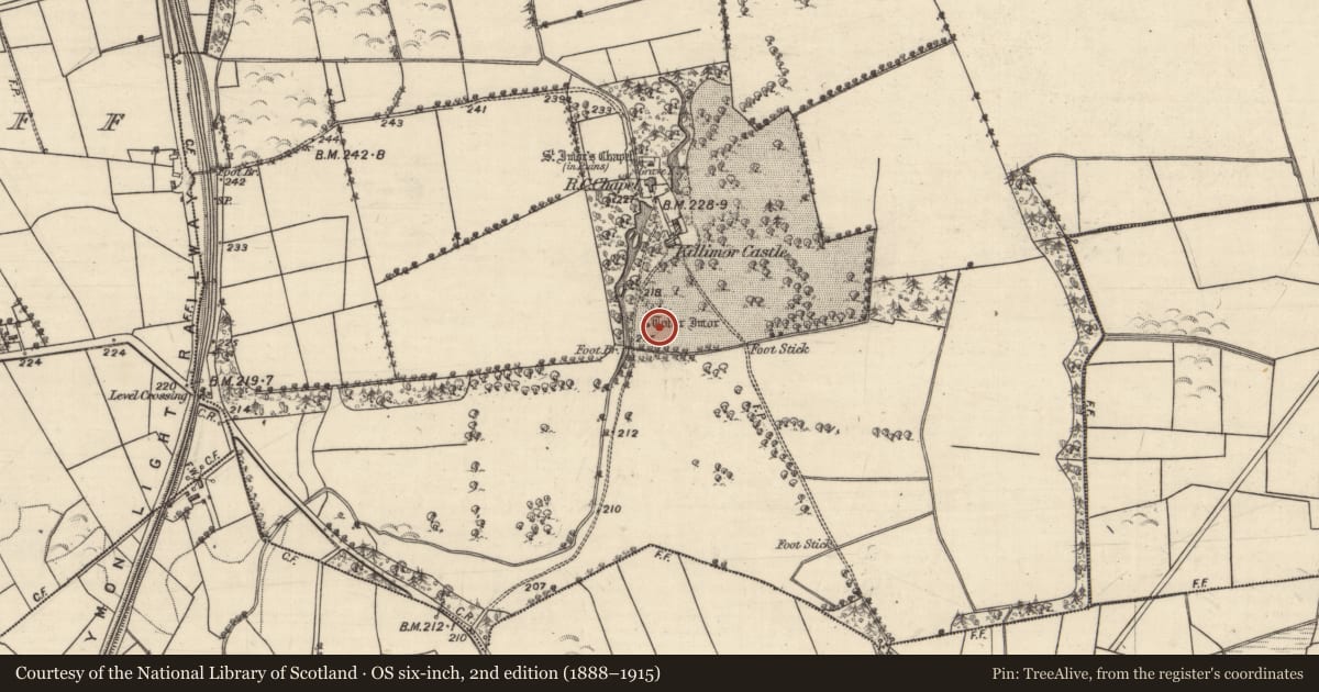 Ordnance Survey six-inch map, 2nd edition (1888–1915) covering the location of Ritual site - holy well, Killimor, County Galway, with a pin at the register's coordinates