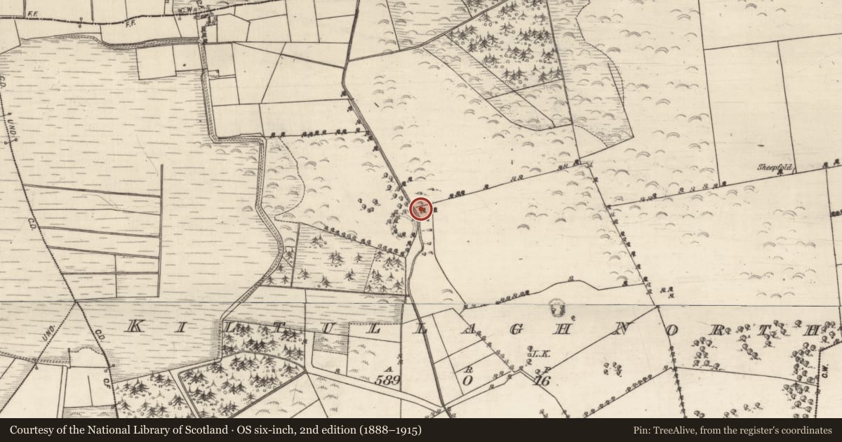 Ordnance Survey six-inch map, 2nd edition (1888–1915) covering the location of Ritual site - holy well, Kiltullagh North, County Galway, with a pin at the register's coordinates