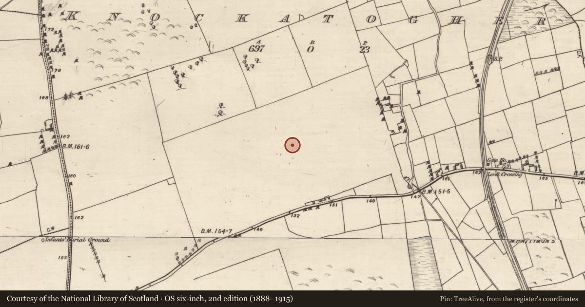Ordnance Survey six-inch map, 2nd edition (1888–1915) covering the location of Ringfort - rath, Knockatogher, County Galway, with a pin at the register's coordinates