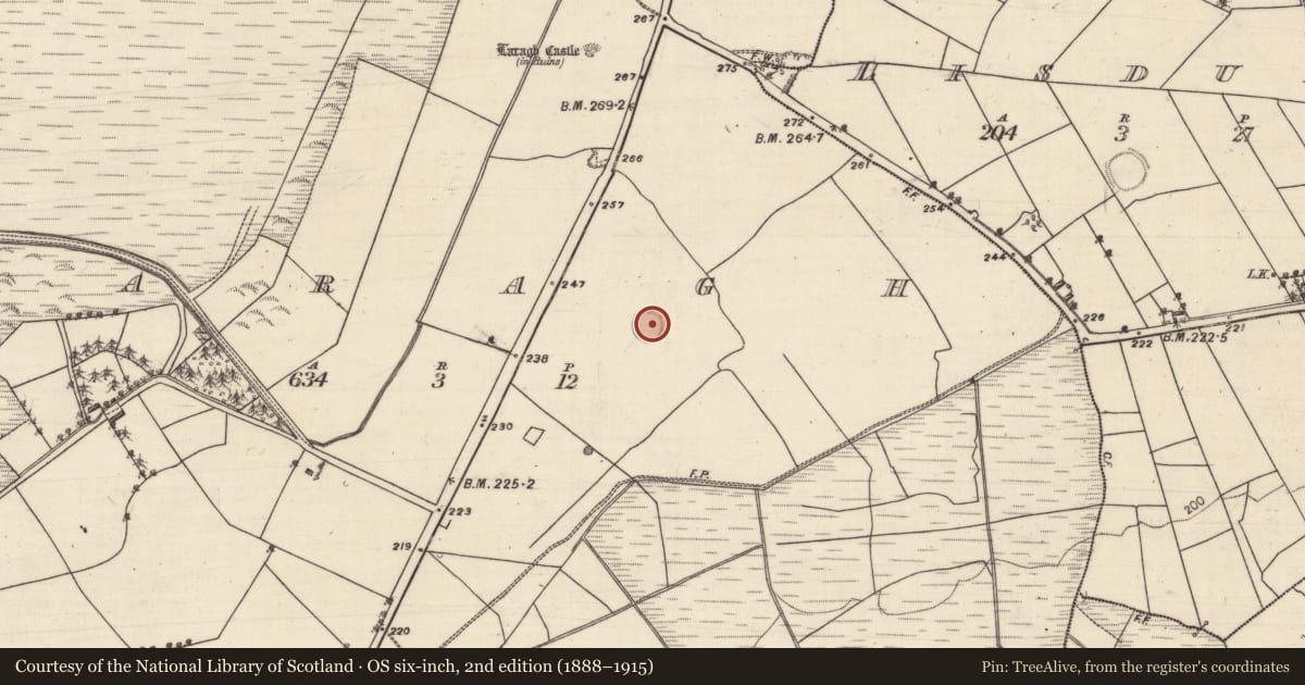 Ordnance Survey six-inch map, 2nd edition (1888–1915) covering the location of Children's burial ground, Laragh, County Galway, with a pin at the register's coordinates