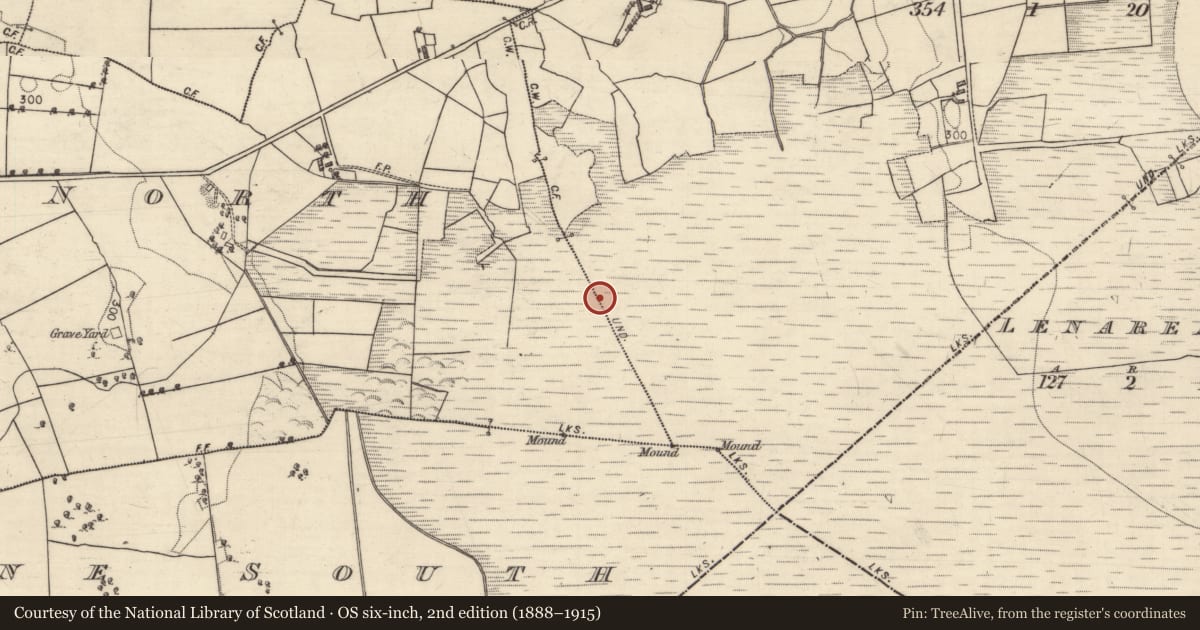 Ordnance Survey six-inch map, 2nd edition (1888–1915) covering the location of Boundary mound, Gortnalone North, Lenareagh, County Galway, with a pin at the register's coordinates