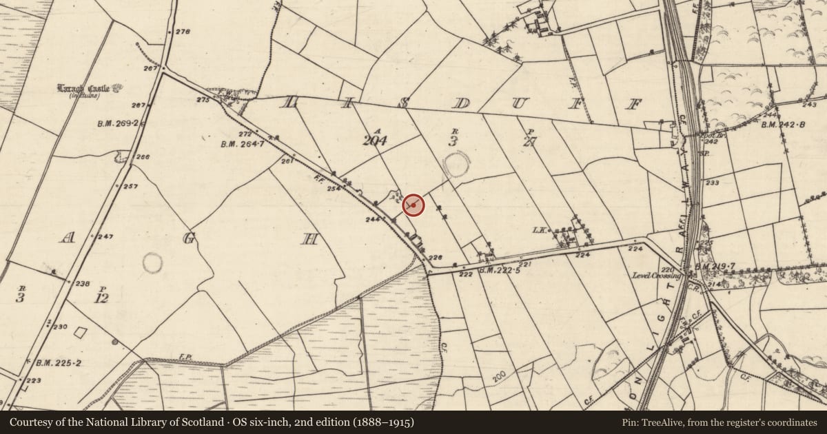 Ordnance Survey six-inch map, 2nd edition (1888–1915) covering the location of Enclosure, Lisduff, County Galway, with a pin at the register's coordinates