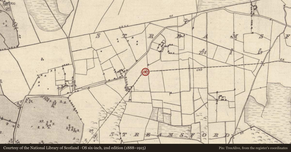 Ordnance Survey six-inch map, 2nd edition (1888–1915) covering the location of Ringfort - unclassified, Streamsford, County Galway, with a pin at the register's coordinates